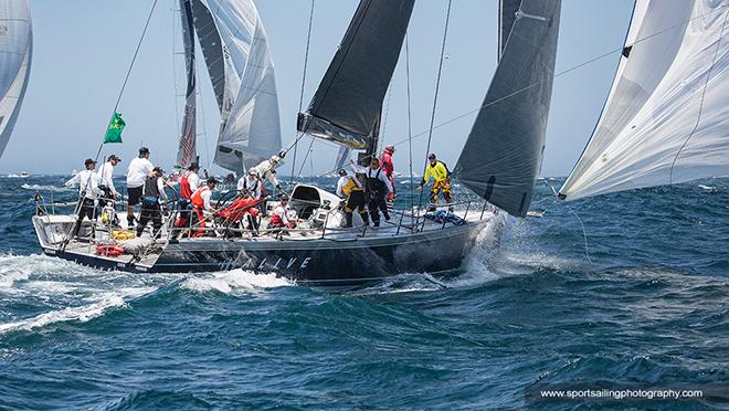 Alive just after the launch of the A-sail - 2016 Rolex Sydney Hobart Yacht Race © Beth Morley - Sport Sailing Photography http://www.sportsailingphotography.com